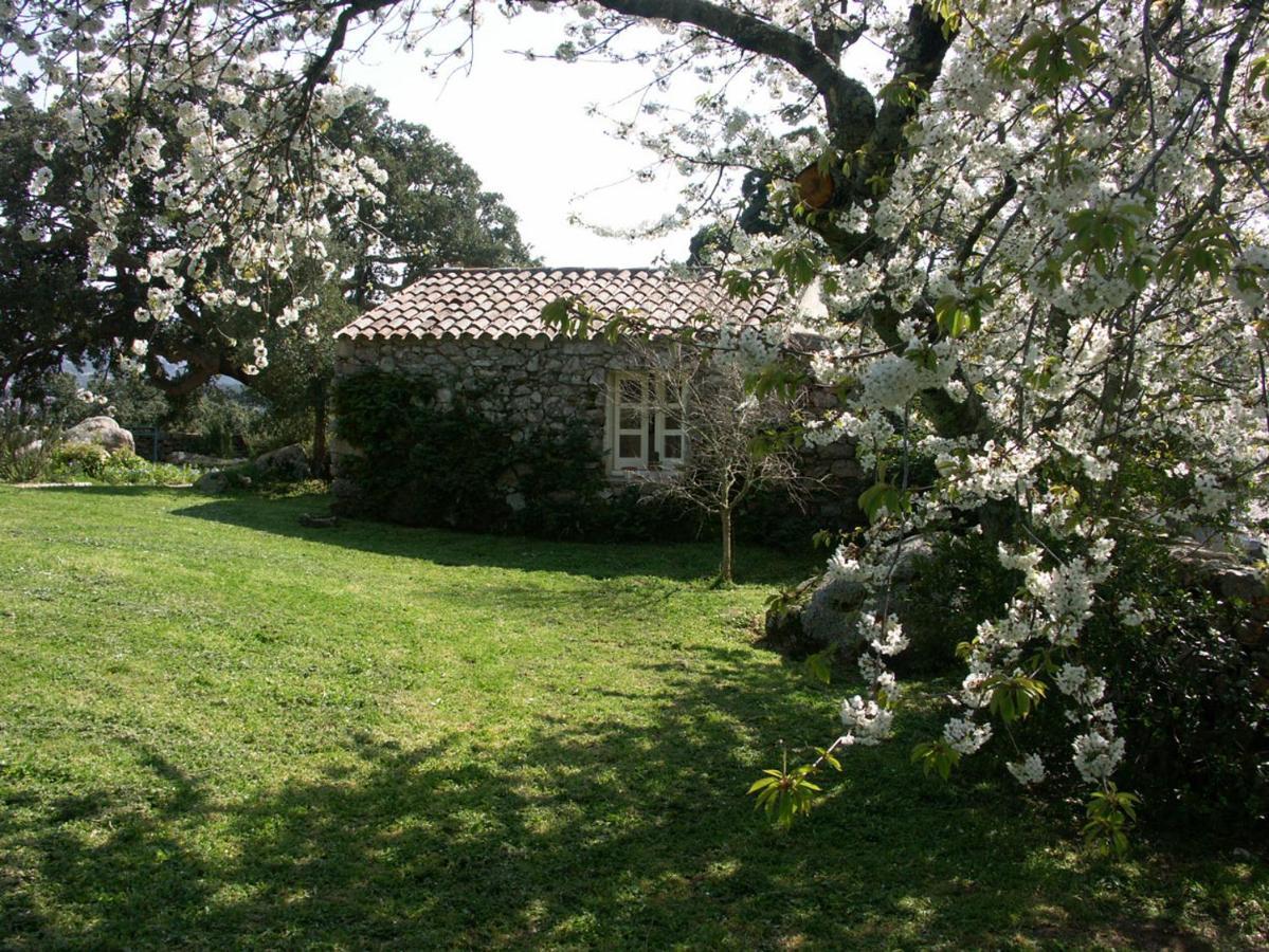 Li Pireddi Vila Aglientu Exterior foto